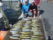 Phideaux Fishing Charters Outer Banks, A great week of Mahi fishing!!