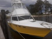 Wanchese Fishing Charters, Welcome Visitors, Time to be Gone Fishing!