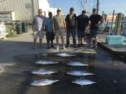 Carolina Girl Sportfishing Charters Outer Banks, Fishing is picking up