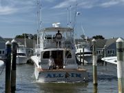 Pirate's Cove Marina, Spanish and Sails!