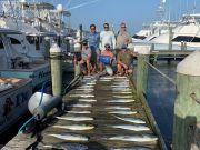 Pirate's Cove Marina, Variety is the Spice of Life