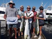 Pirate's Cove Marina, Wednesday’s Catch!