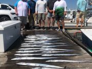 Pirate's Cove Marina, Saturdays Catch