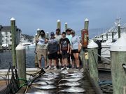 Pirate's Cove Marina, Tuesday's Catch!