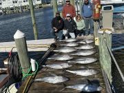 Pirate's Cove Marina, Catch of the Day!