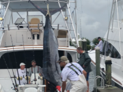 Pirate's Cove Marina, PCBGT Day 4 – Good Things Come to Those Who BAIT!