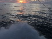 Carolina Girl Sportfishing Charters Outer Banks, It’s a pretty day enjoy it