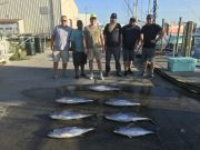 Carolina Girl Sportfishing Charters Outer Banks, 10/24/20 Nice Yellowfin Today