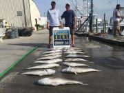 Carolina Girl Sportfishing Charters Outer Banks, The year for tile fishing