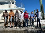 Pirate's Cove Marina, Blackfin Action