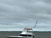 Pirate's Cove Marina, Sunday Funday!