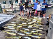 Pirate's Cove Marina, Wednesday’s Catch!