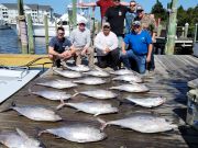 Pirate's Cove Marina, A Bite for Every Angler