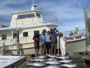 Pirate's Cove Marina, Gon Fishin'