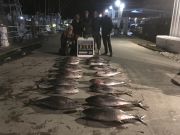 Carolina Girl Sportfishing Charters Outer Banks, 12/19/20 Ho Ho Ho Tuna for Christmas ?