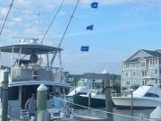 Pirate's Cove Marina, Marlin Madness