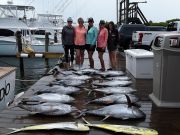 Pirate's Cove Marina, Another Great Day!