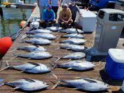 Pirate's Cove Marina, Saturdays Are For Tunas!!!