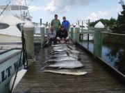 Pirate's Cove Marina, Yellowfin @ Pirate's Cove