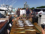 Pirate's Cove Marina, Great Day of Tuna Fishing!