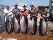 Pirate's Cove Marina, Tuna for Days.....