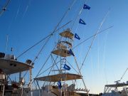 Pirate's Cove Marina, Monday Fun Fishing...