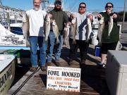 Pirate's Cove Marina, Raking in the Rockfish