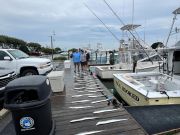 Pirate's Cove Marina, Nearshore Fishin’