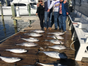 Pirate's Cove Marina, Catching Yellow-fin