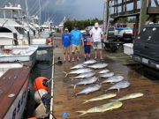 Pirate's Cove Marina, Taking The Bait...