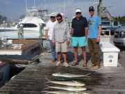 Pirate's Cove Marina, Gaffers!