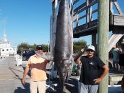 Pirate's Cove Marina, What a Swordfish...