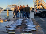 Pirate's Cove Marina, Tuna Time..