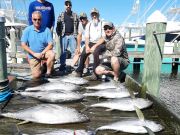 Pirate's Cove Marina, Fin-tastic Fishing..