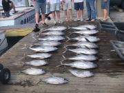 Pirate's Cove Marina, Hook, Line, and Sinker