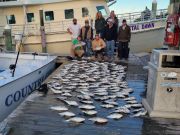 Pirate's Cove Marina, Sea Bass Saturday