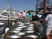 Pirate's Cove Marina, IT'S TUNA TIME