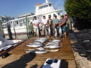 Pirate's Cove Marina, Tuna Time