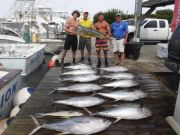 Pirate's Cove Marina, Tuna, Tuna, and MORE TUNA @ Pirate's Cove