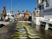 Pirate's Cove Marina, Offshore, Nearshore, Inlet and Wreckfishing!