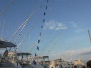 Pirate's Cove Marina, INCREDIBLE DAY!