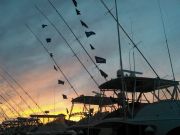 Pirate's Cove Marina, Flags and Meatfish!