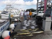 Pirate's Cove Marina, Great Tuna fishing @ Pirate's Cove