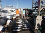 Pirate's Cove Marina, Meatfish @ Pirate's Cove Marina