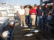 Pirate's Cove Marina, The fish are still biting!