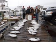 Pirate's Cove Marina, Tuna Fever!