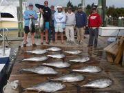 Pirate's Cove Marina, Yellowfin Fever