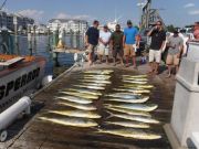 Pirate's Cove Marina, Great weather, great fishing!
