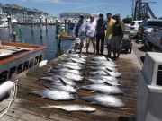 Pirate's Cove Marina, Awesome Afternoon!