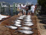 Pirate's Cove Marina, Tuna Time!!